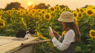 lady taking pictures of cat in sunflower field