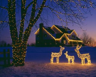 Christmas lights on house and on tree