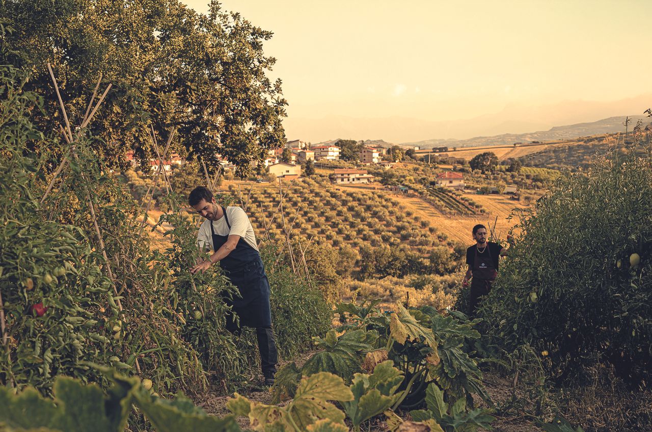 Italian agriturismo: Tap into a vineyard’s heartbeat