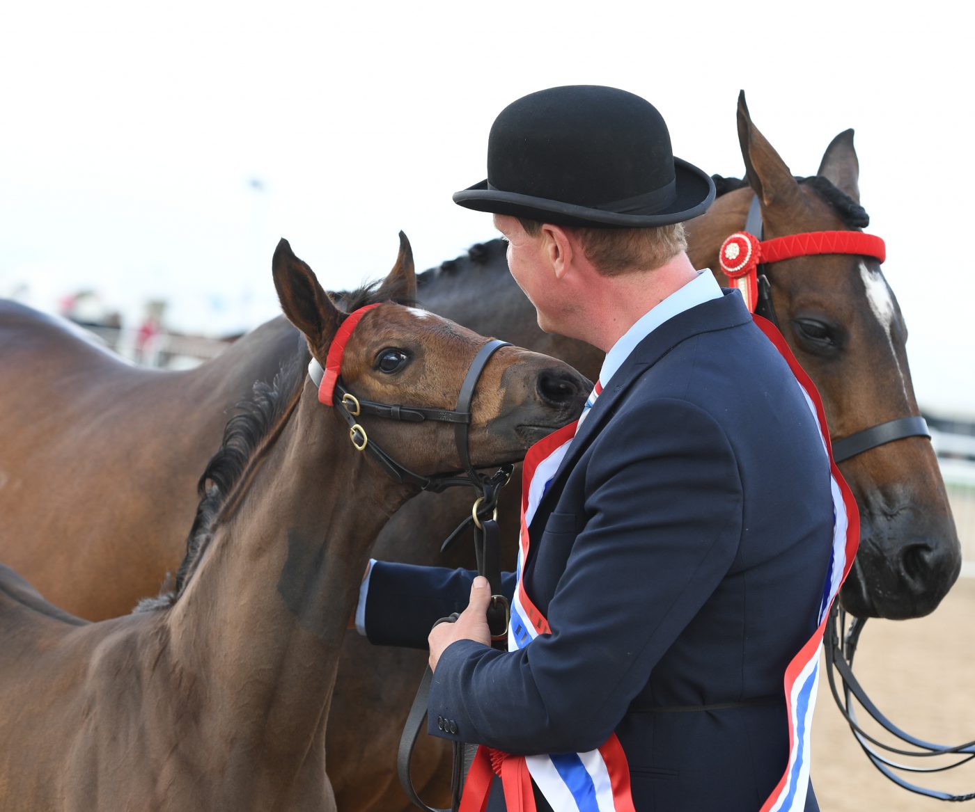 MIDLAND-COUNTIES-FOAL-CHAMP-e1552650111864.jpg