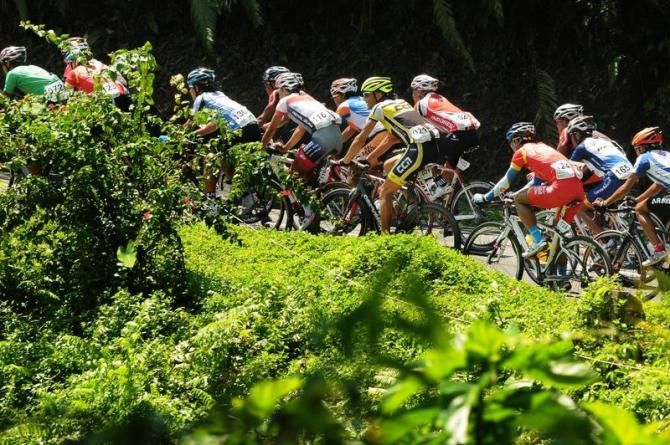 The peloton tackles one of the climbs
