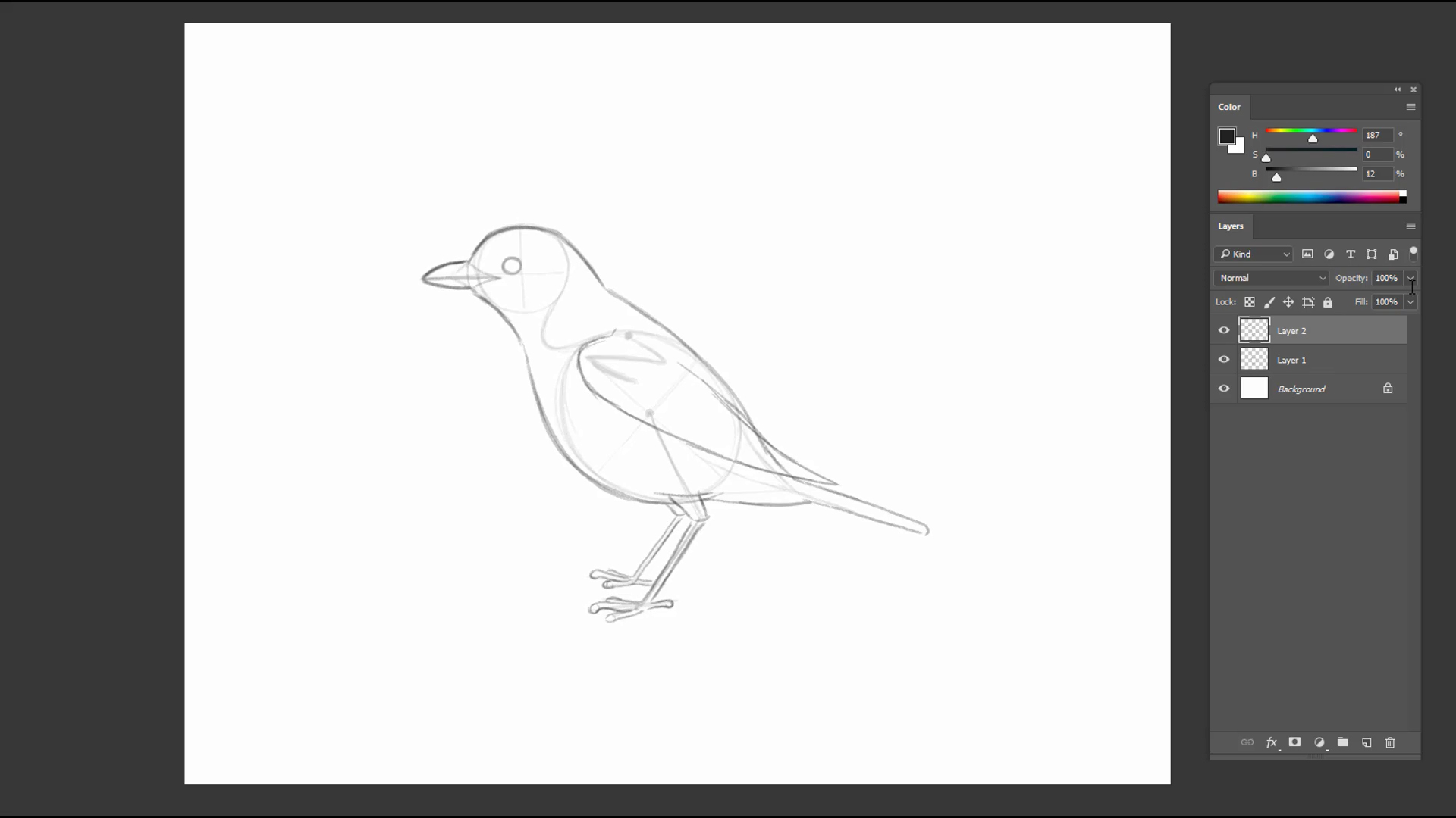 Rough pencil sketch of a bird