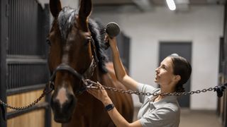 Rider brushing horse's mane