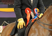 HOYS-hack-rosettes.jpg