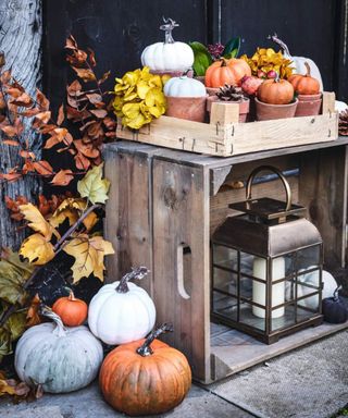 Fall craft idea with pumpkins on and around a crate