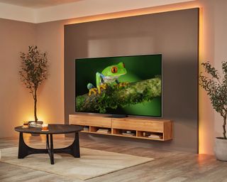 Samsung's The Frame television in modern living room with two indoor houseplants and frog on TV