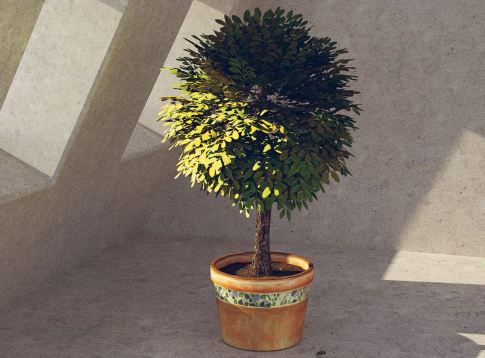 Cinema 4D tutorials: model plants