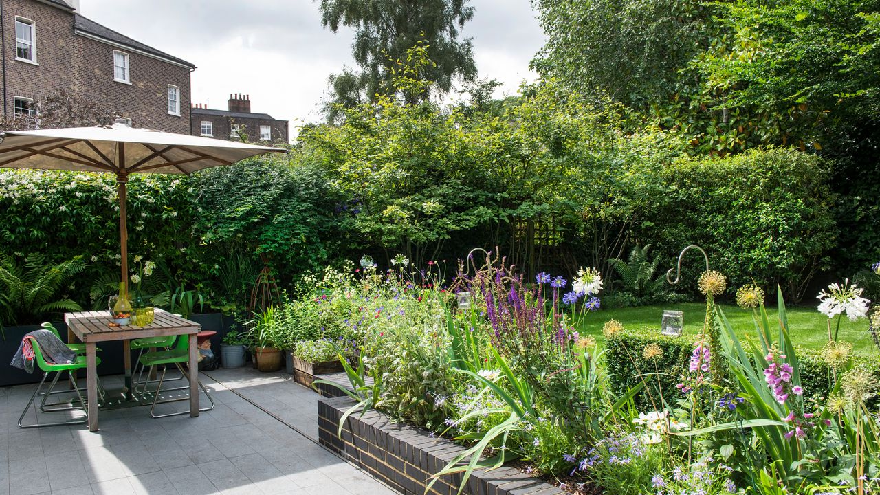 Garden with purple garden borders