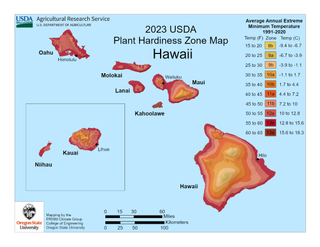 USDA Planting Zone Map for Hawaii