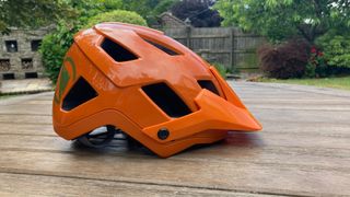 The rear view of a mountain bike helmet