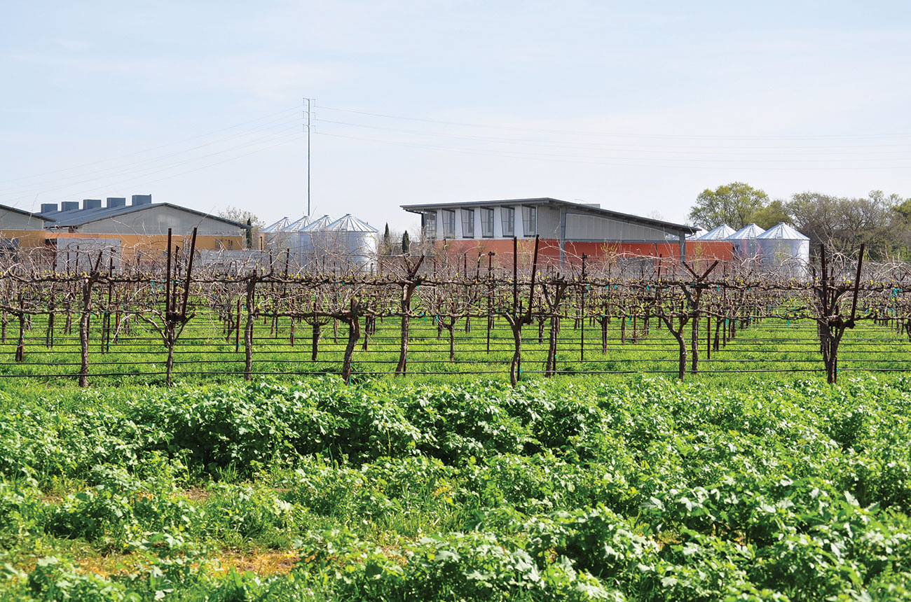 UC Davis Sustainable Winery