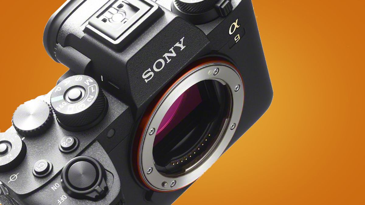 Sony a9 III Review: A Costly Revolution in Camera Technology