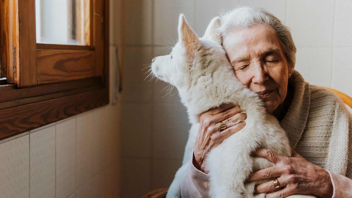 Dog being cuddled by woman