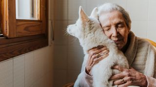 Dog being cuddled by woman