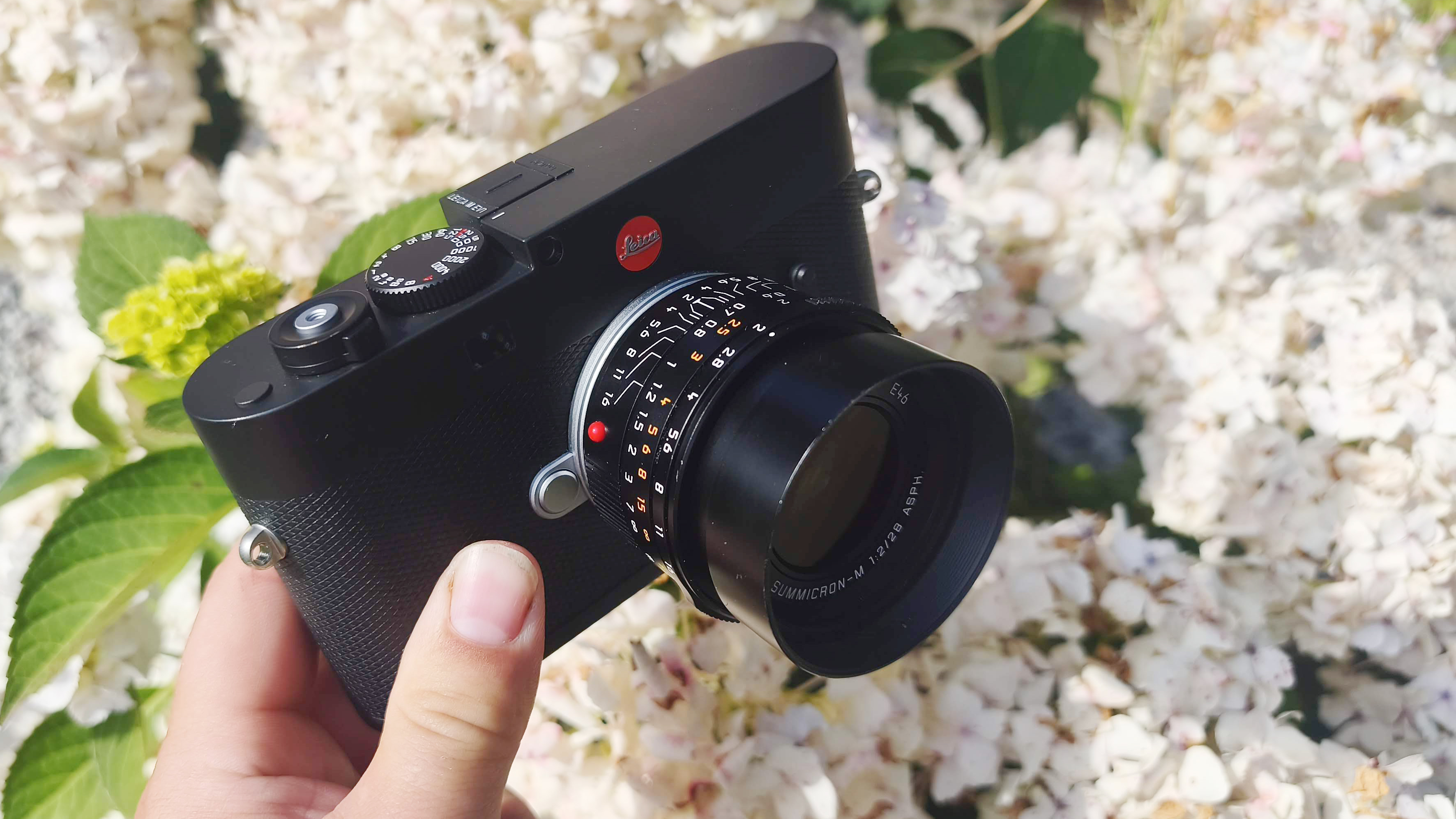 Leica 28mm Summicron-M f/2 ASPH. Model 11618