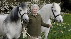 These Highland ponies are among HM The Queen's favourite horses