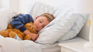 A young boy asleep in a bed cuddling a teddy bear.