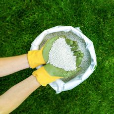 Hands in green and yellow gloves hold granular fertilizer over a bag