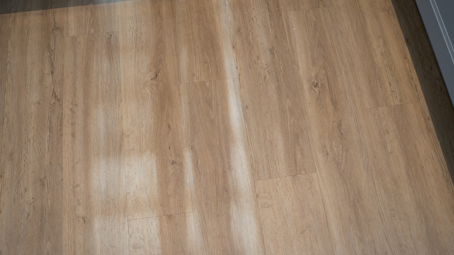 Oats cleaned from hard floor