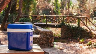 Coolbox on picnic table