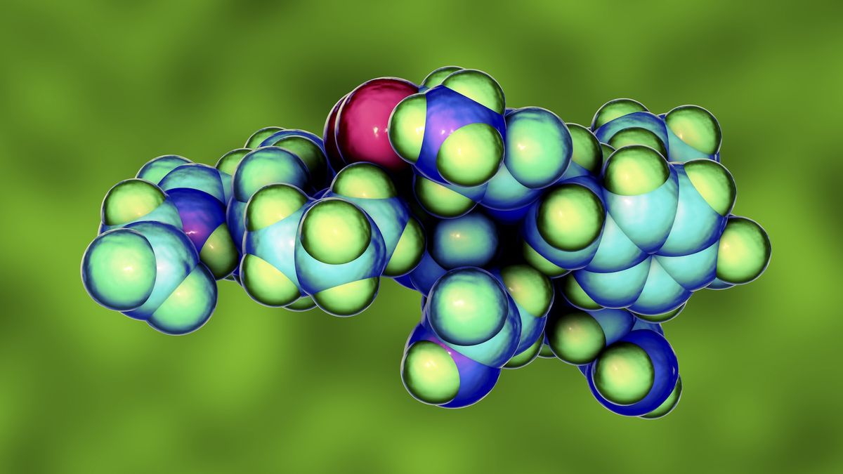 An artist&#039;s rendering of an oxytocin molecule