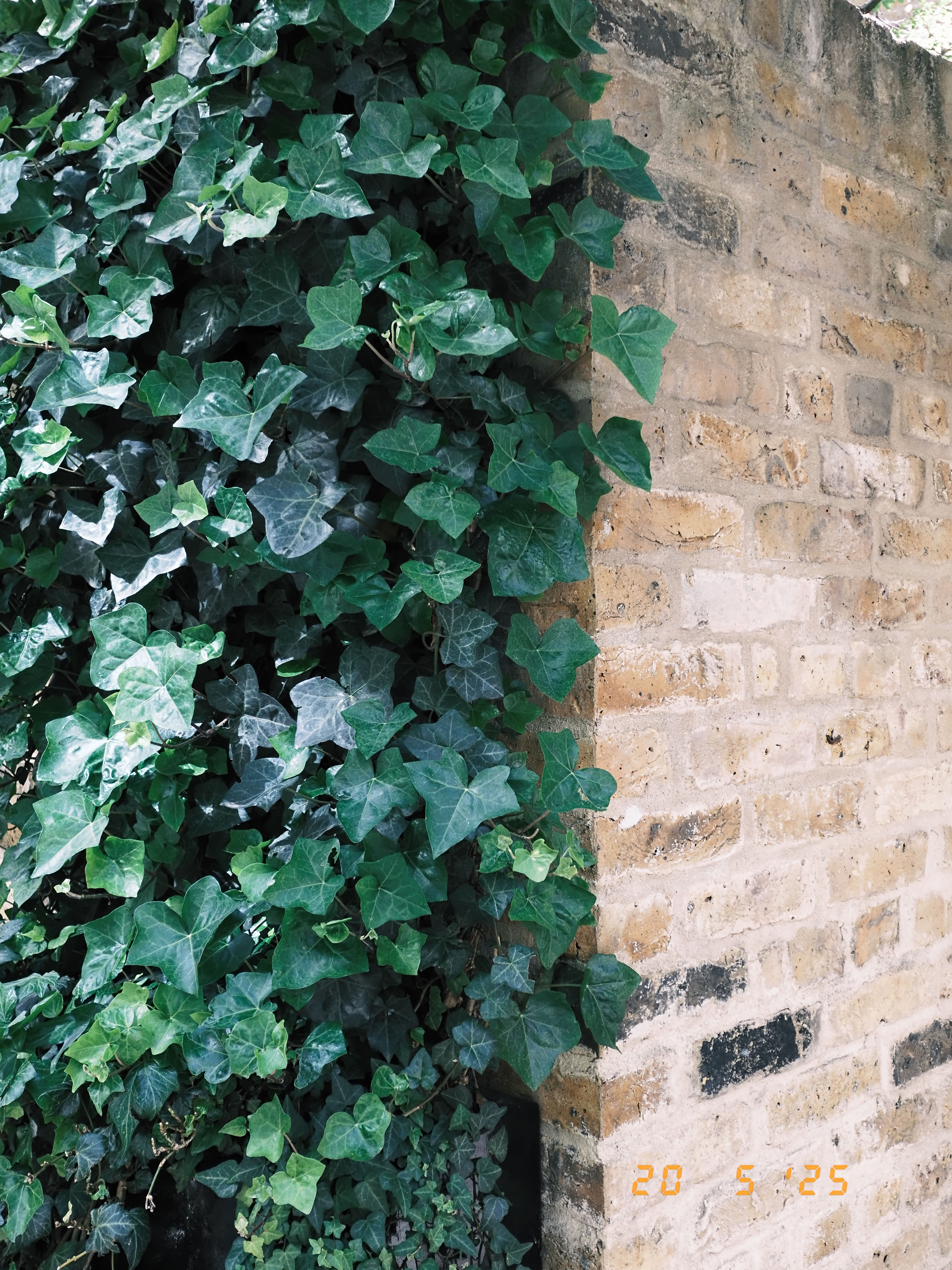 A photo taken on a Fujifilm X half digital film camera