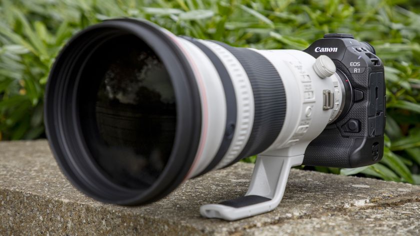 Canon EOS R1 and EF 400mm lens stood on a wall with green bushes behind