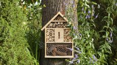 Bee hotel in a garden on a tree trunk