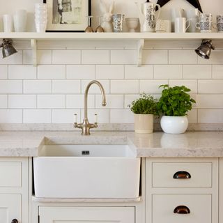 cream and white sink area with green plants and open shelving