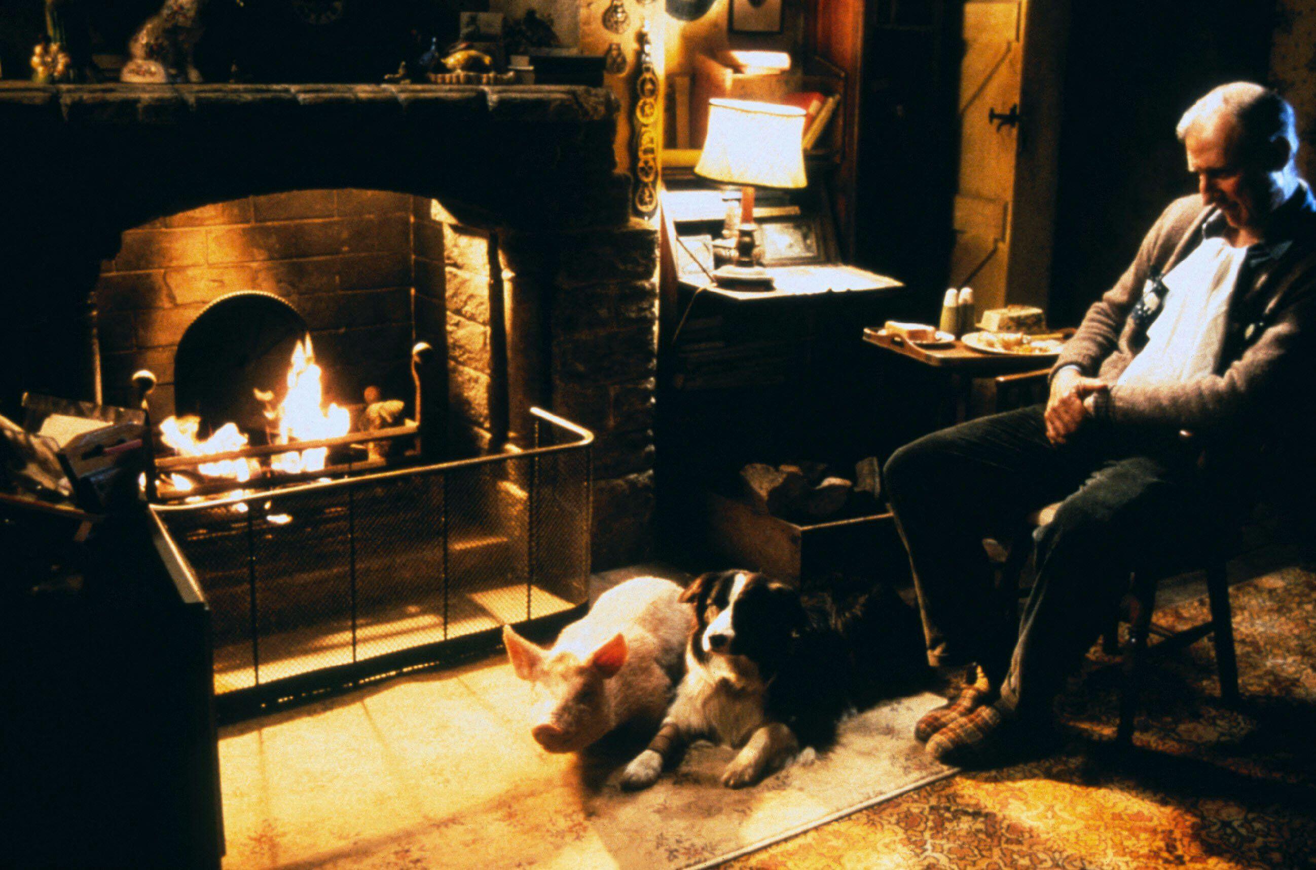 A pig and a Border Collie lie together on a rug in front of a glowing fireplace, while an older man naps in a nearby armchair.
