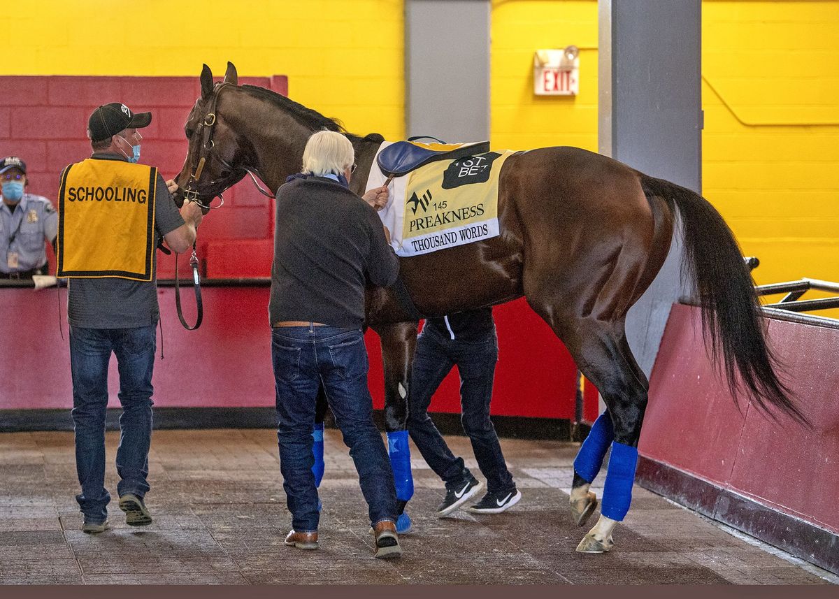 Preakness Stakes