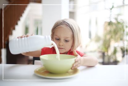 Three year old child sitting at table pouring milk into a cereal bowl