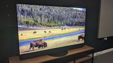 Panasonic MZ1500 with buffalo and nature on screen