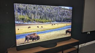 Panasonic MZ1500 with buffalo and nature on screen 