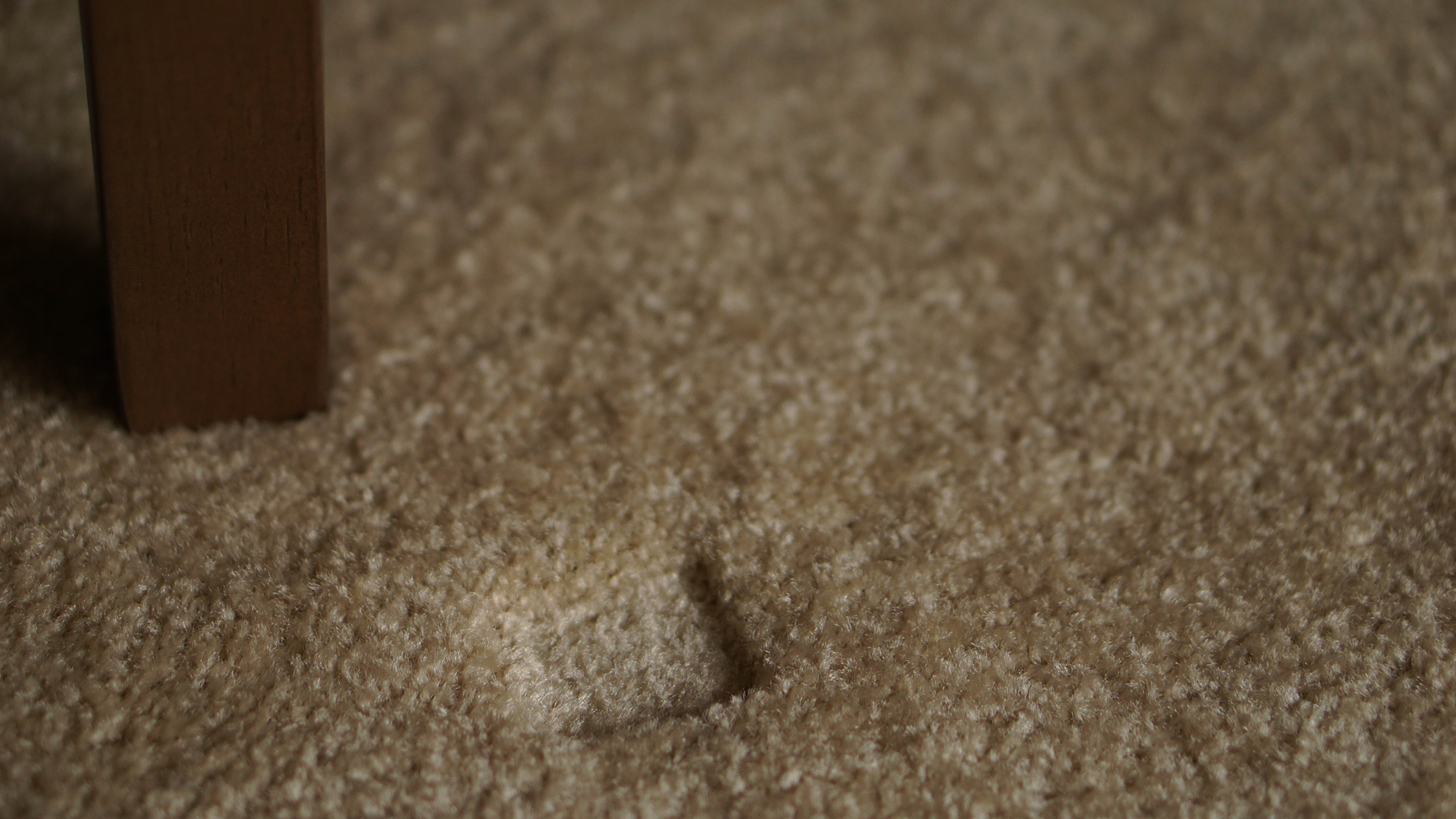 Dent in beige carpet