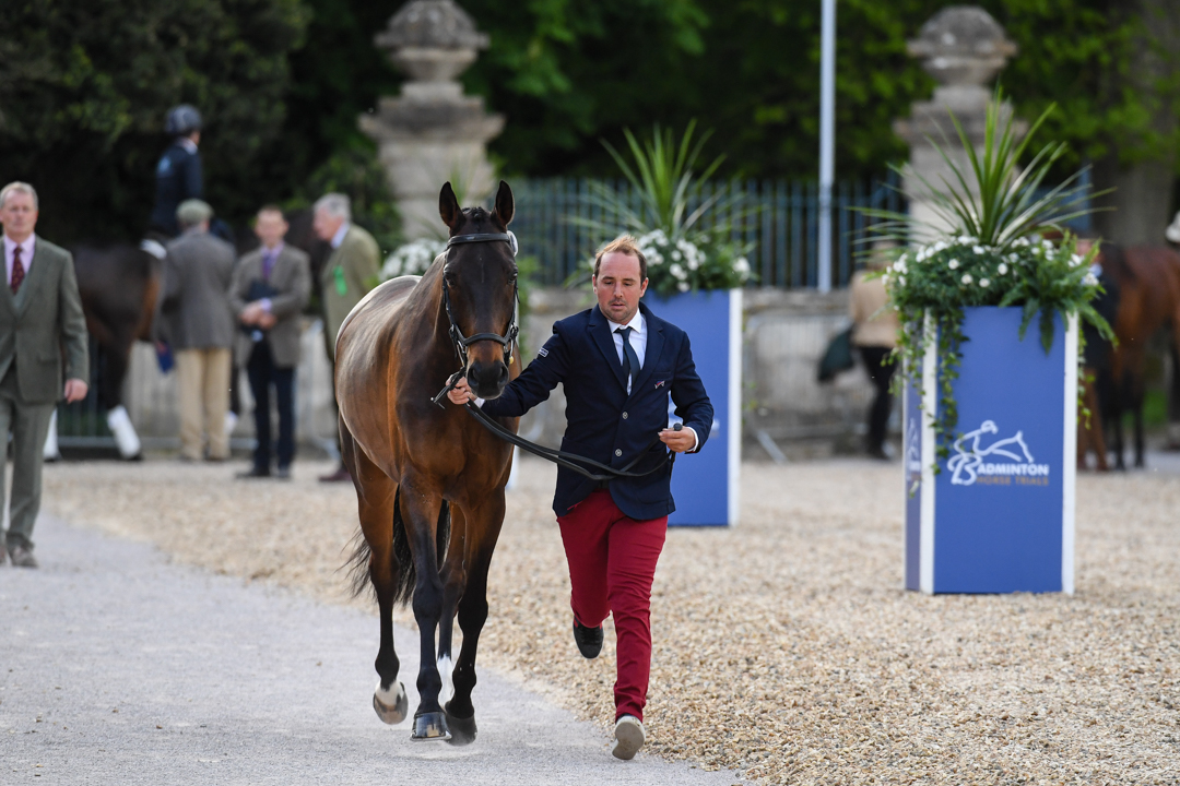 Badminton Horse Trials trot-up