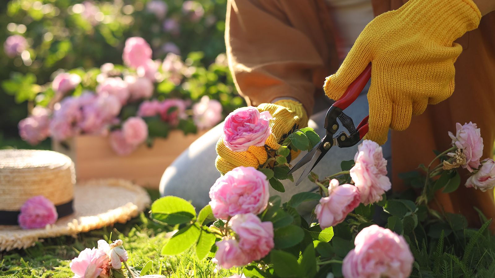 7 plants to prune in March for healthy spring growth | Tom's Guide