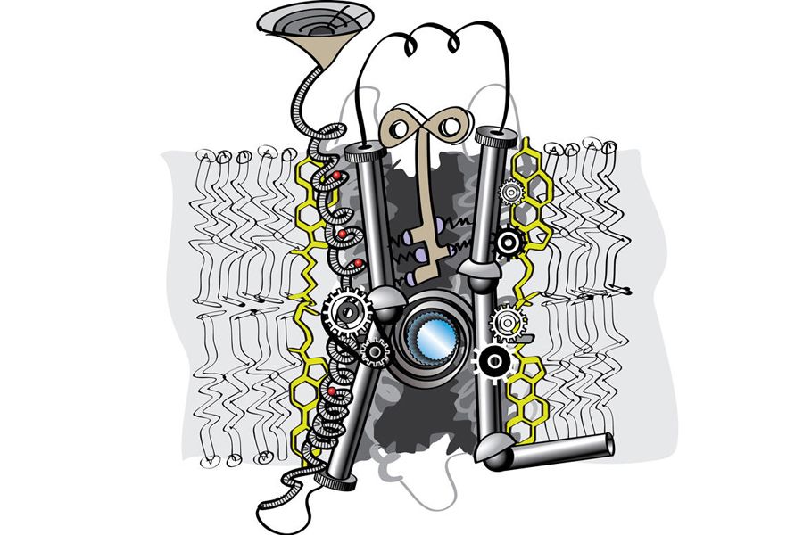 health, genetics, research, family of proteins, GPCR