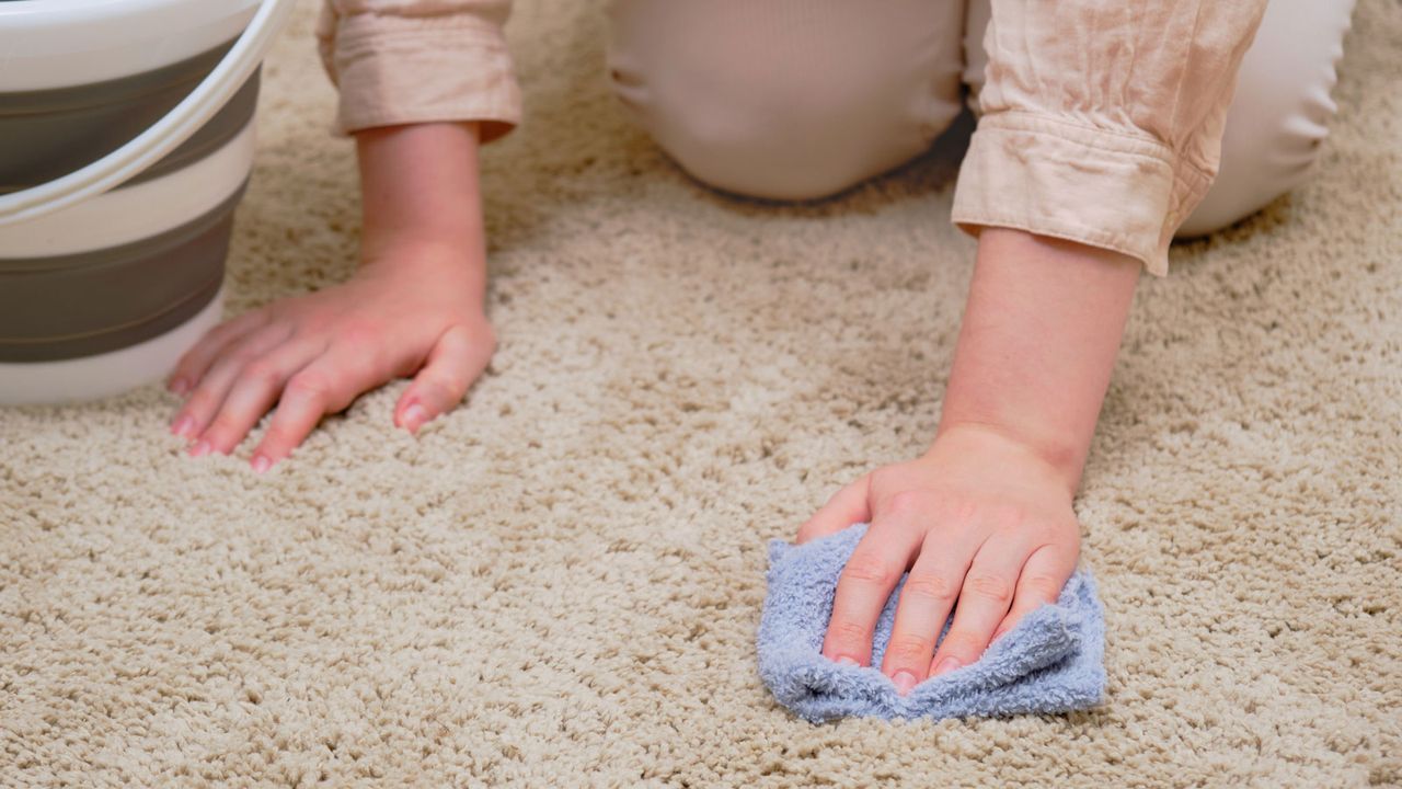 woman kneeling cleaning cream carpet with a blue cloth