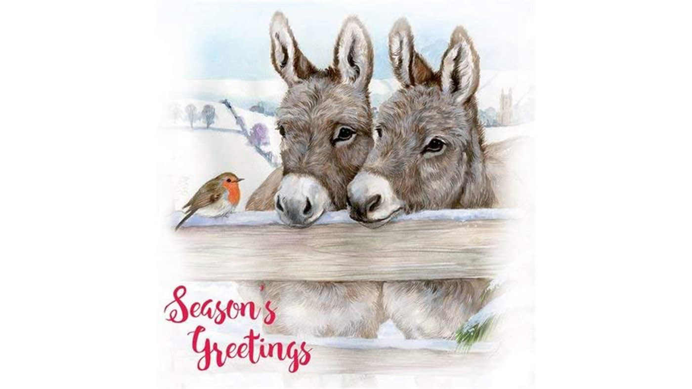 Two donkeys in the snow with a robin Christmas card