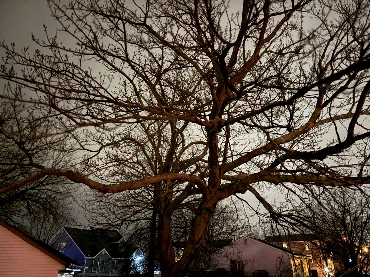 Apple iPhone 15 Plus camera sample.