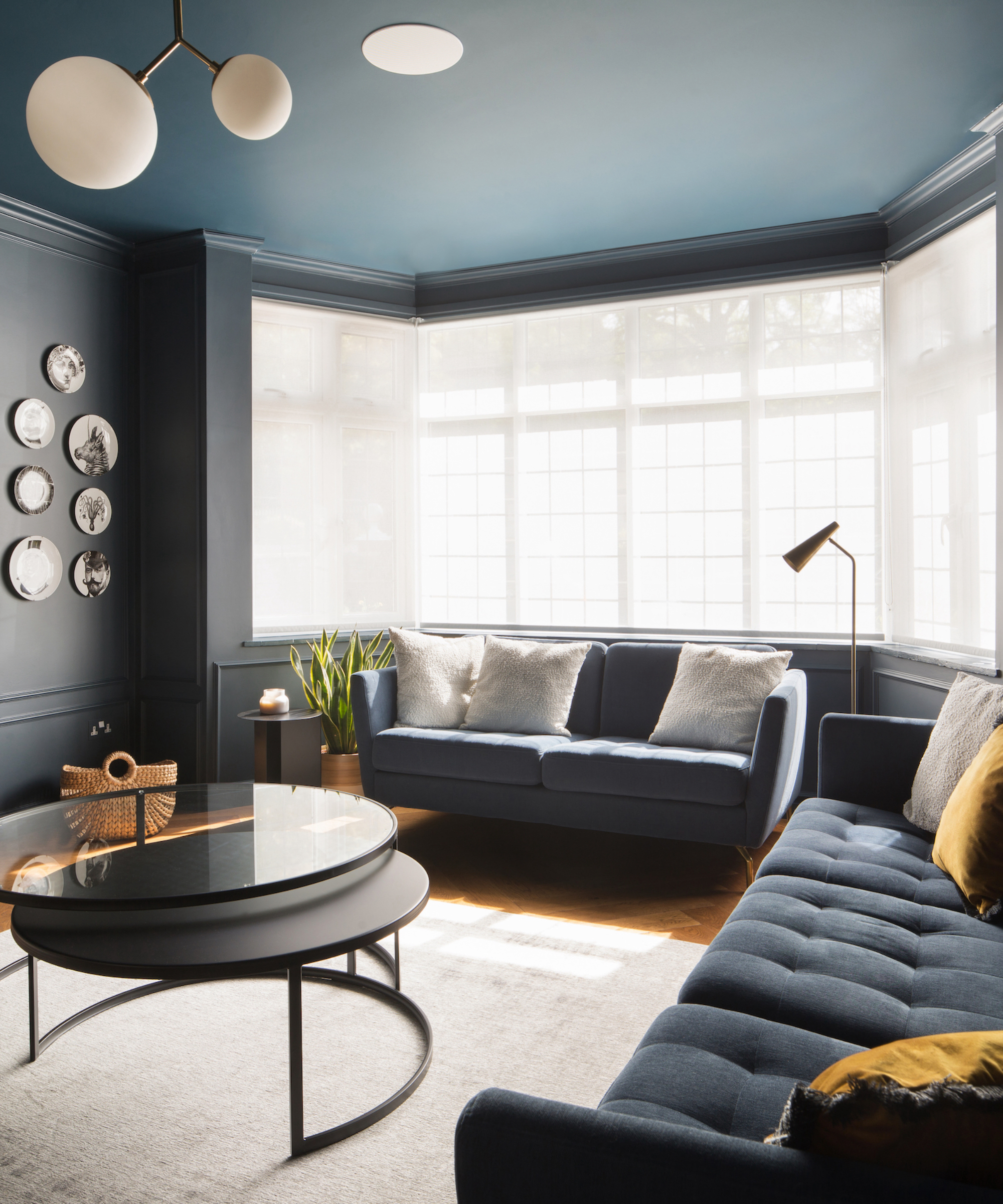 meilleures peintures bleues, salon bleu avec canapés bleus et plafond peint, table basse noire, assiettes au mur