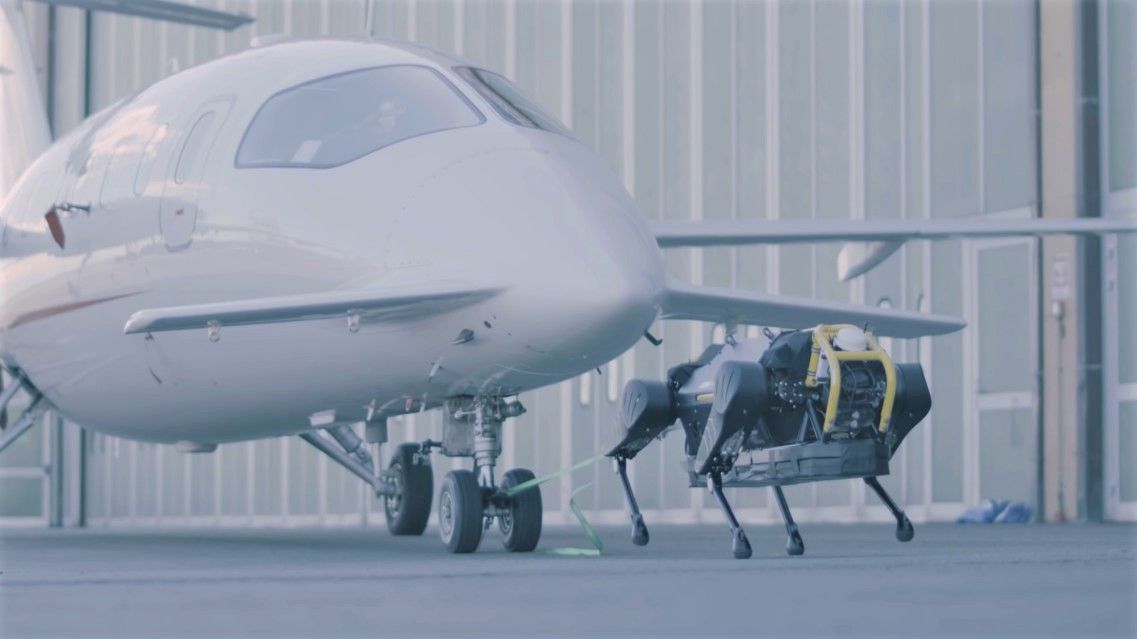 Robot dog pulling plane