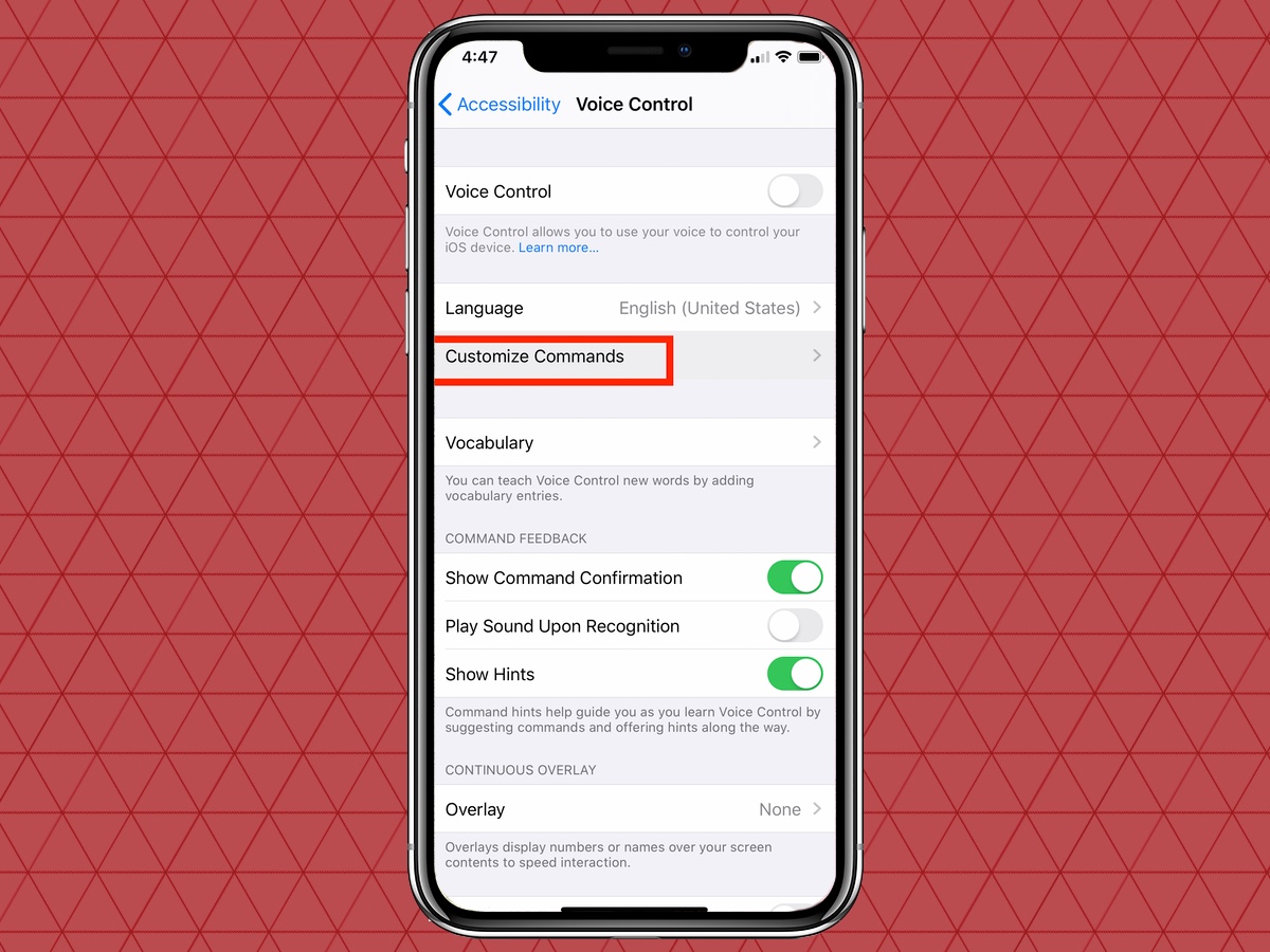 How to Turn On Voice Control in iOS 13, and Why You’d Want To | Tom's Guide