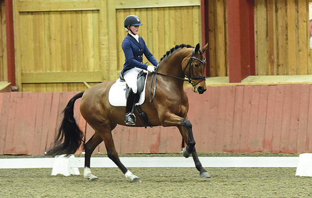 River Rise Escarla pictured competing under Sadie Smith