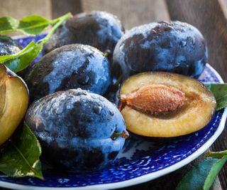 plums whole and sliced on a plate