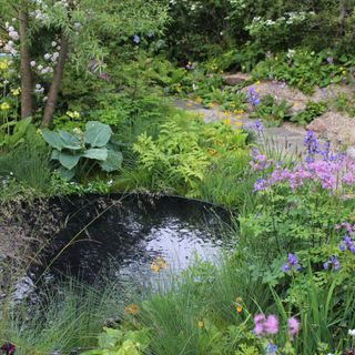 A mini pond surrounded by foliage at RHS Chelsea Flower Show