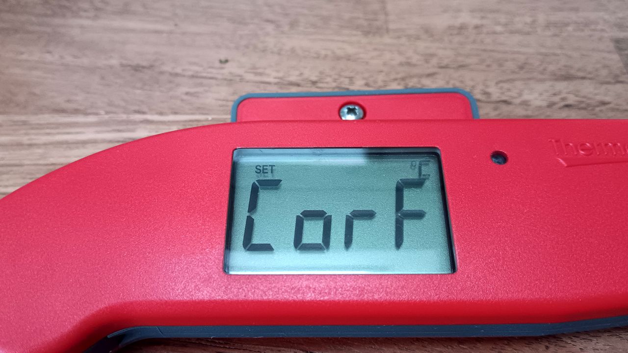ThermoWorks Thermapen ONE