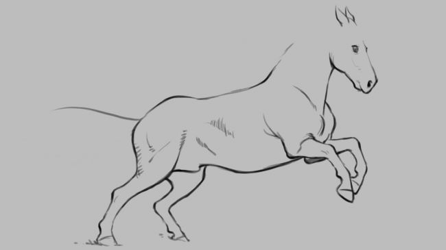 How to draw a horse Creative Bloq