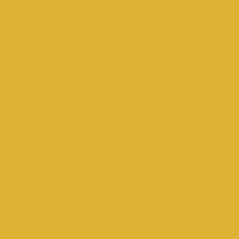 mustard yellow paint swatch